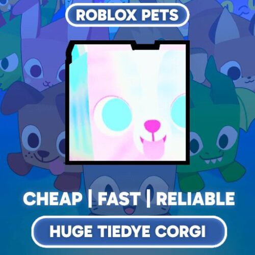 Huge Tiedye Corgi